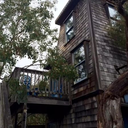 Didjeridoo Dreamtime Inn Мендосино Экстерьер фото